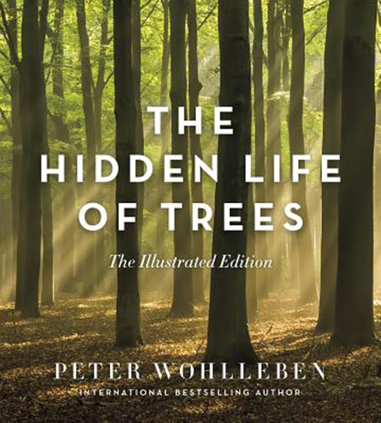 Peter Wohlleben, The hidden life of trees. What they feel, how they